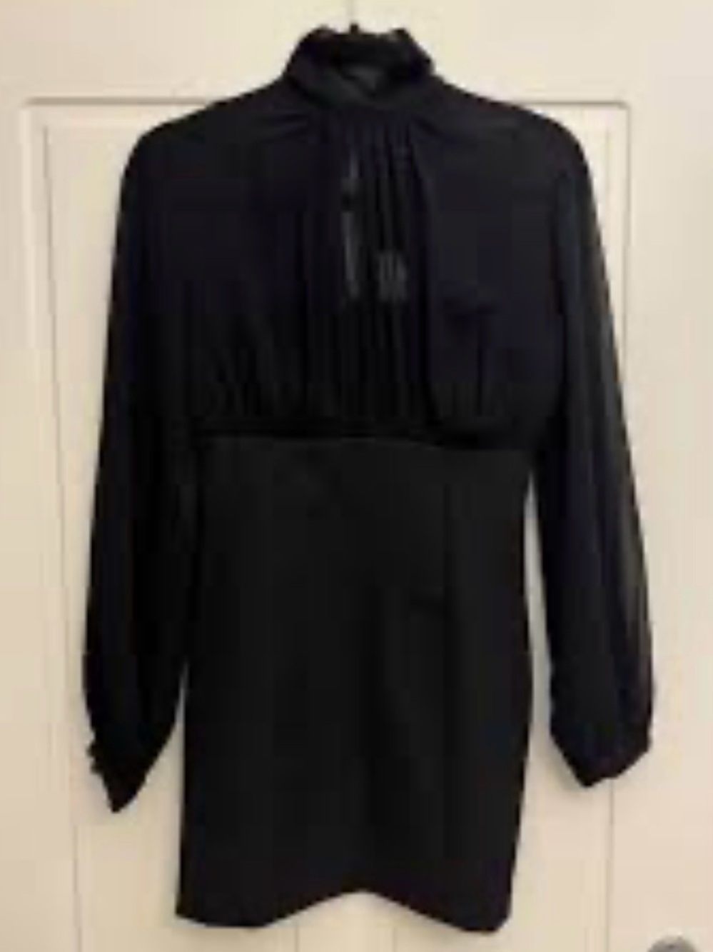 Elegant Black Sheer Dress